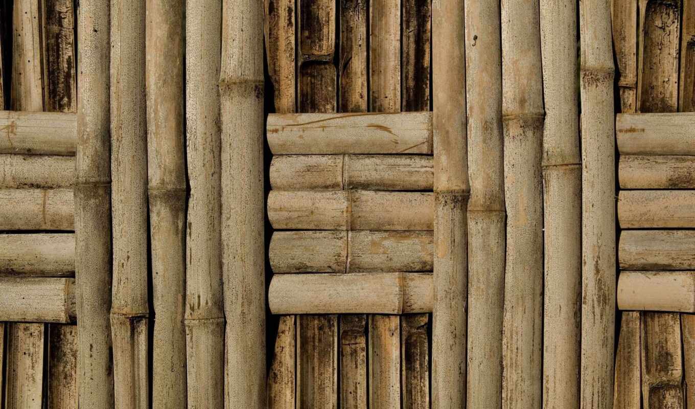 стена, бамбук