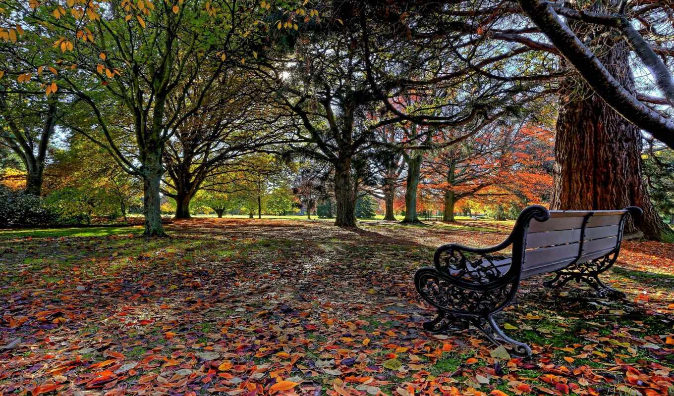 nature, tree, landscape, autumn, mouth, park, leaf, bench, fore