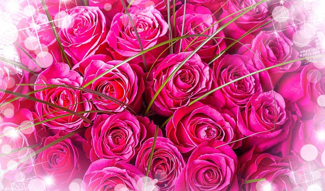 роза, улыбка, birth, день, case, поздравление, счастье, anniversary, wish