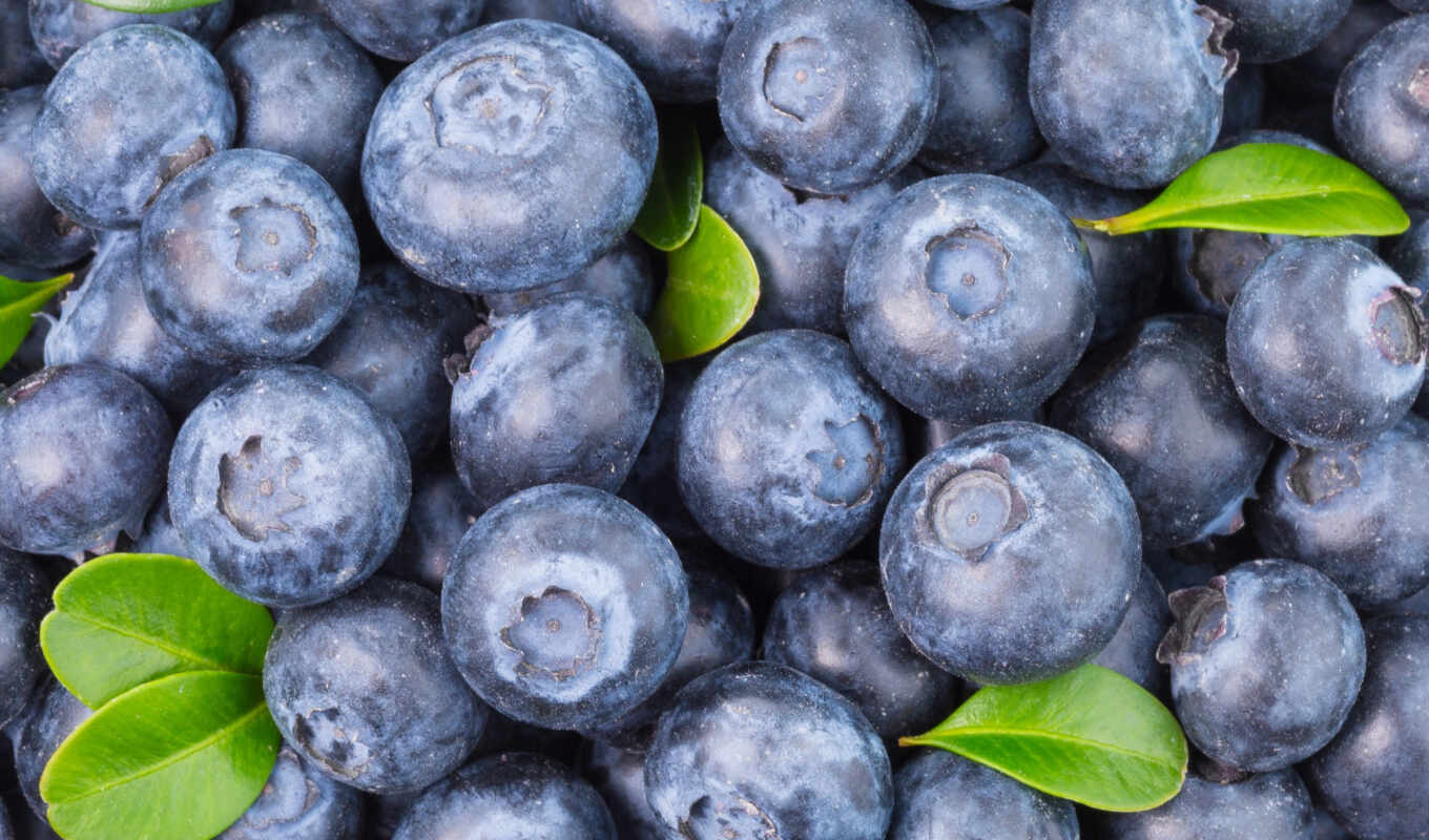 fresh, berry, blueberries
