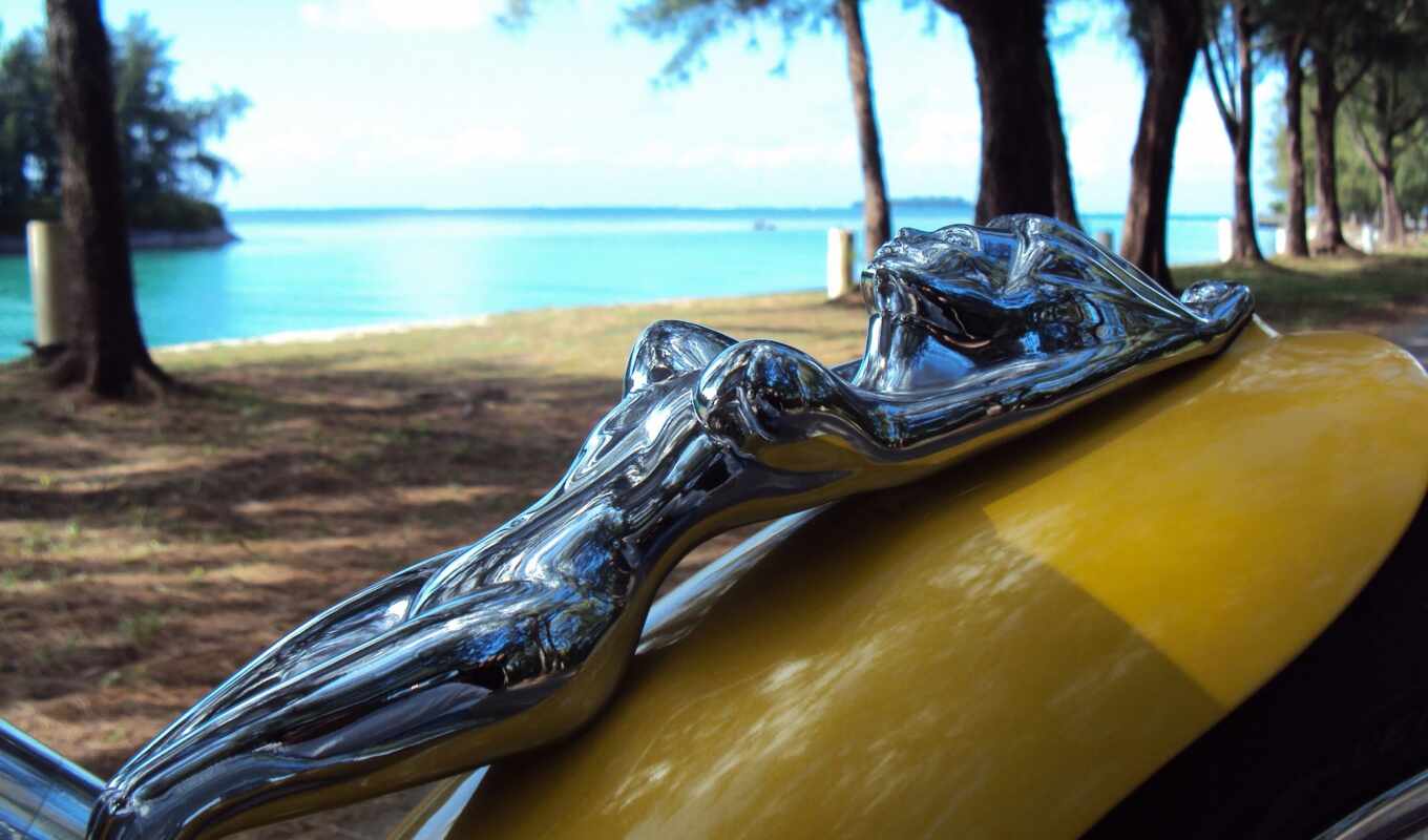 женщина, орнамент, vintage, эротика, обнаженная, car, lady, капюшон, chrome, rod, peterbild