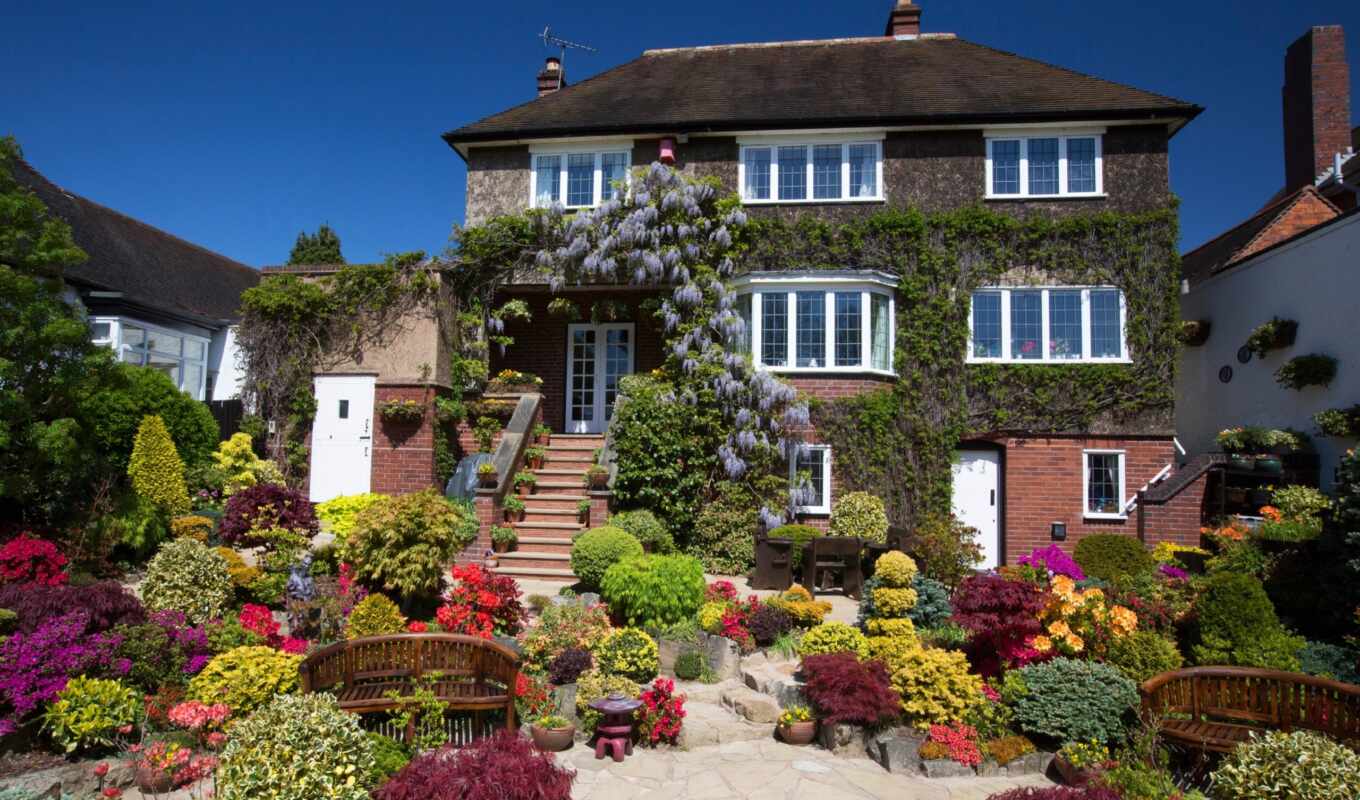 rose, style, design, landscape, see, garden, uk, cottage
