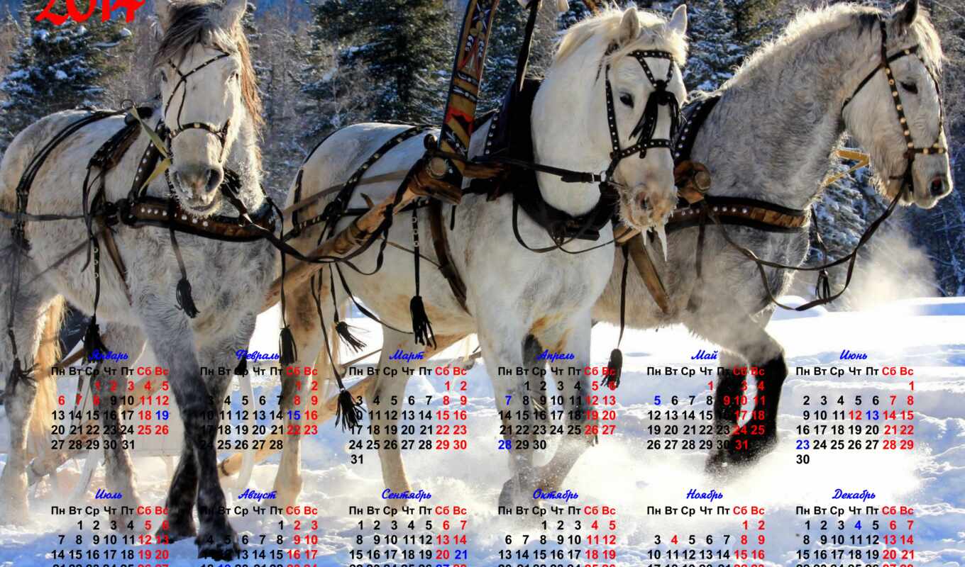 winter, три, русская, лошади, лошадей