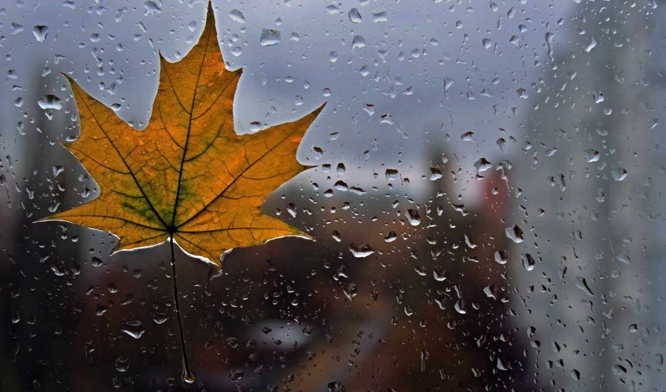 стиль, дождь, погода, ukraine, осень, день, value, flexbox, slovosochetanie