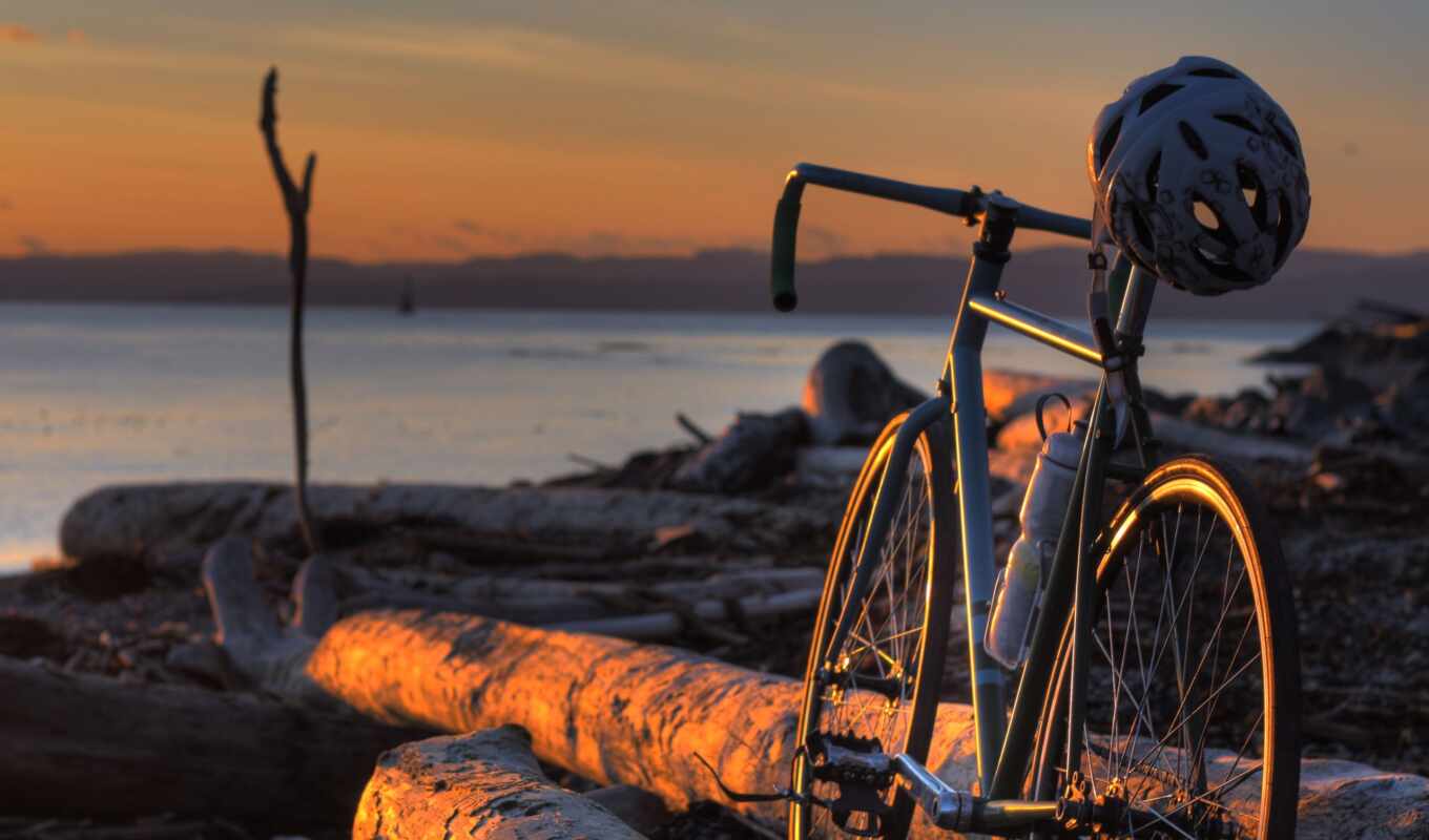 log, побережье, шлем, велосипед