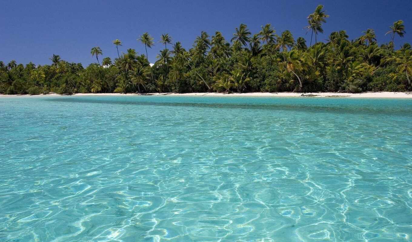 summer, water, красивые, море, пальмы, остров