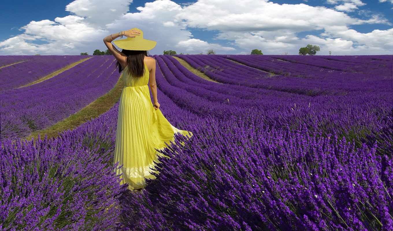 девушка, картинка, поле, lavender, прованс, francii