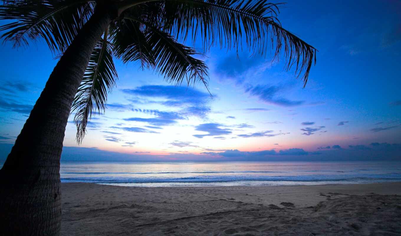 sol, of, sky, tropical, caribe, beach, dawn, nublado, palmera