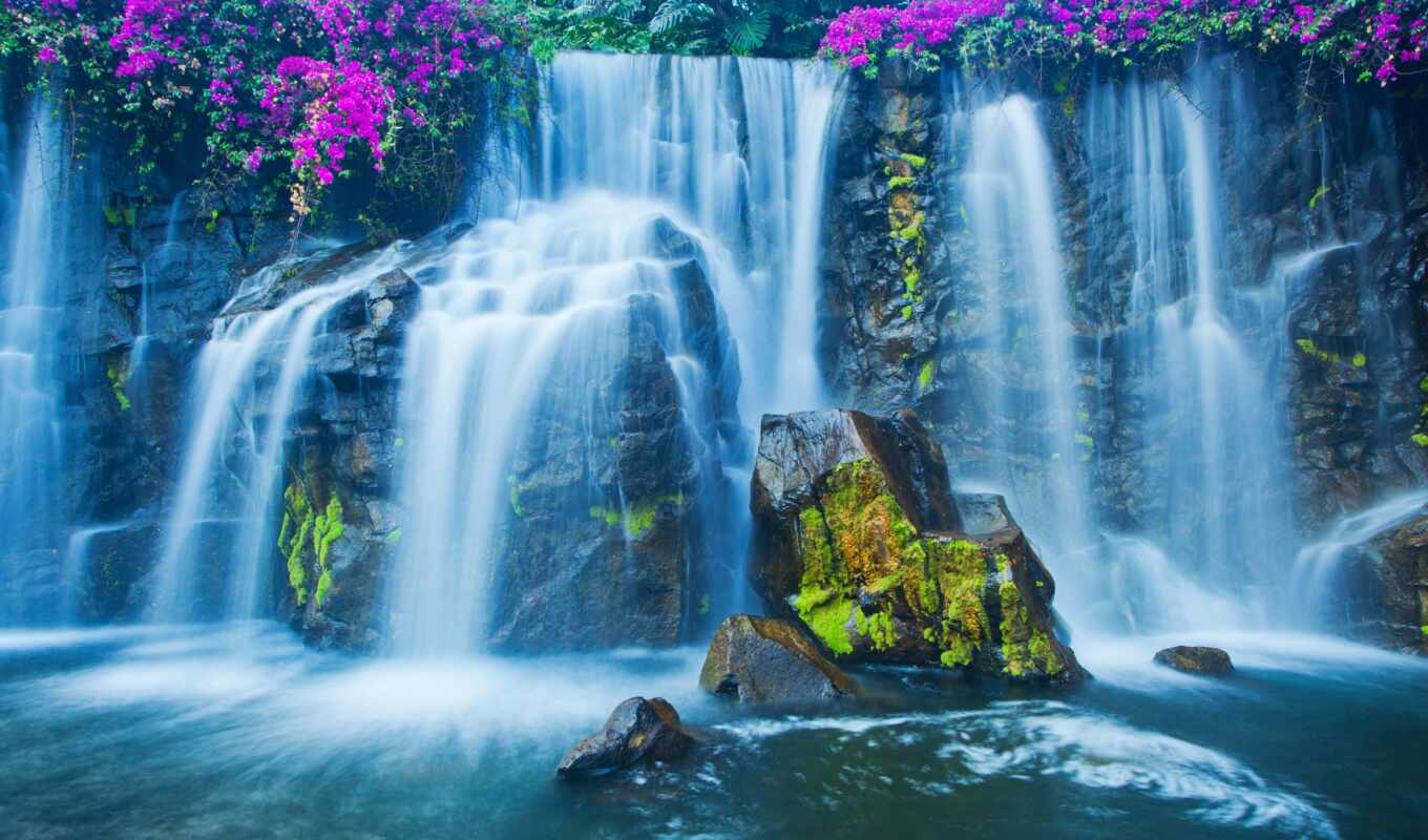 flowers, girl, images, the world, price, waterfall, waterfalls, stones