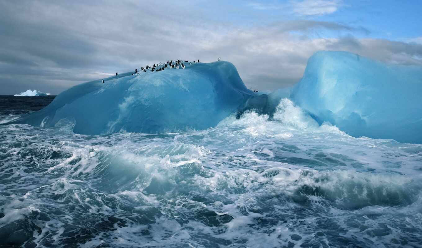 природа, море, ocean, брызги, пингвины, waves, oblaka, льдина, айсберге, бурном