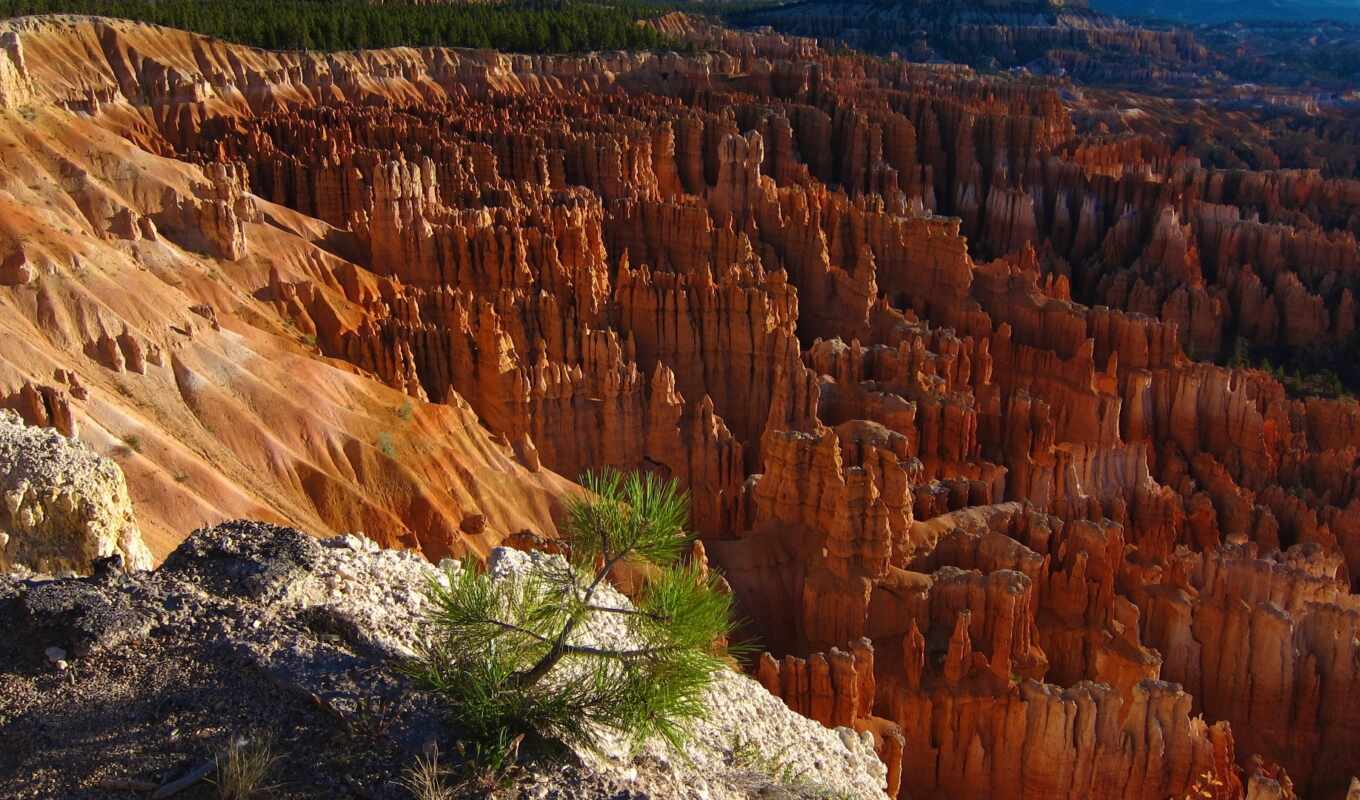 mountain, free, southern, park, national, canyon, bryce