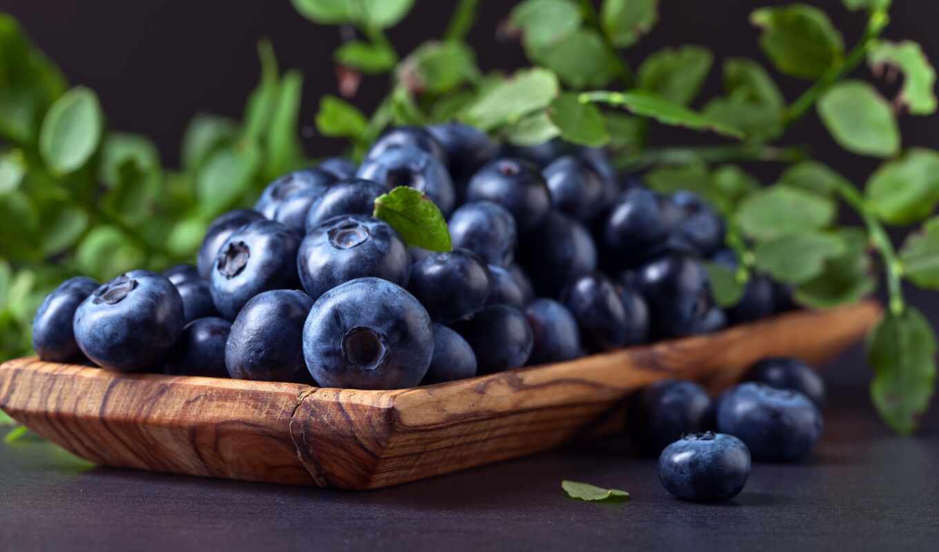 meal, background, gray, product, berry, blueberries, meal, nutrition