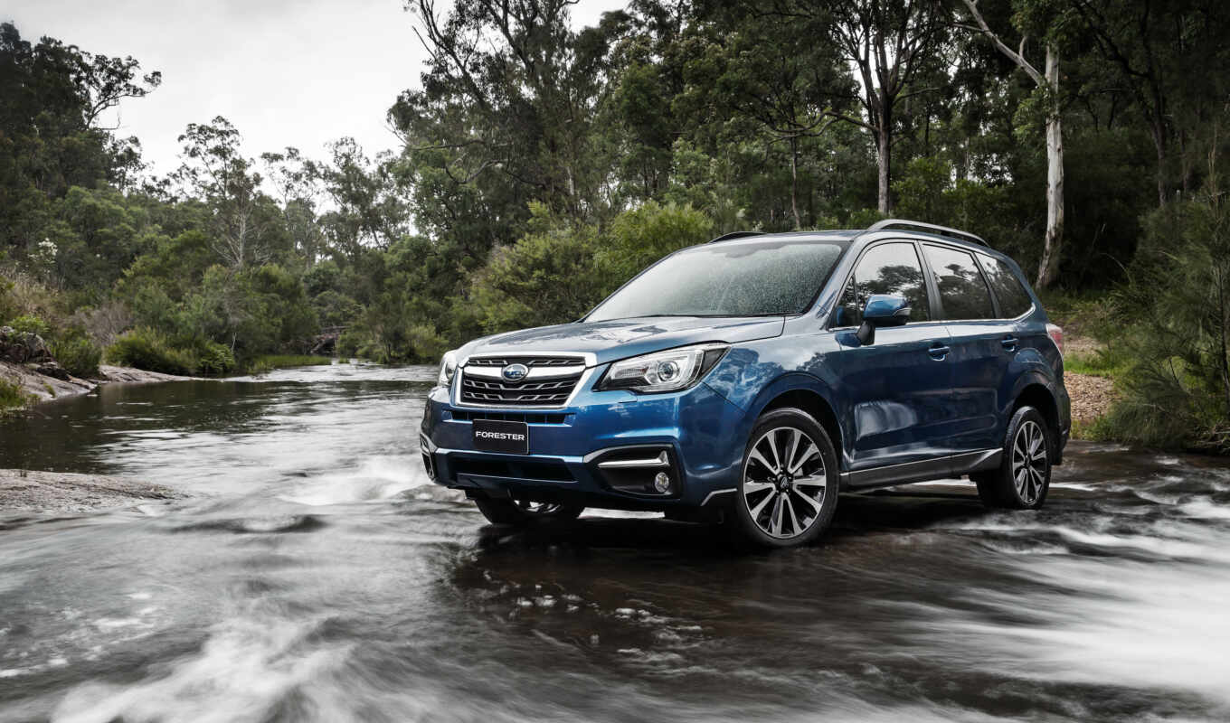 blue, forester