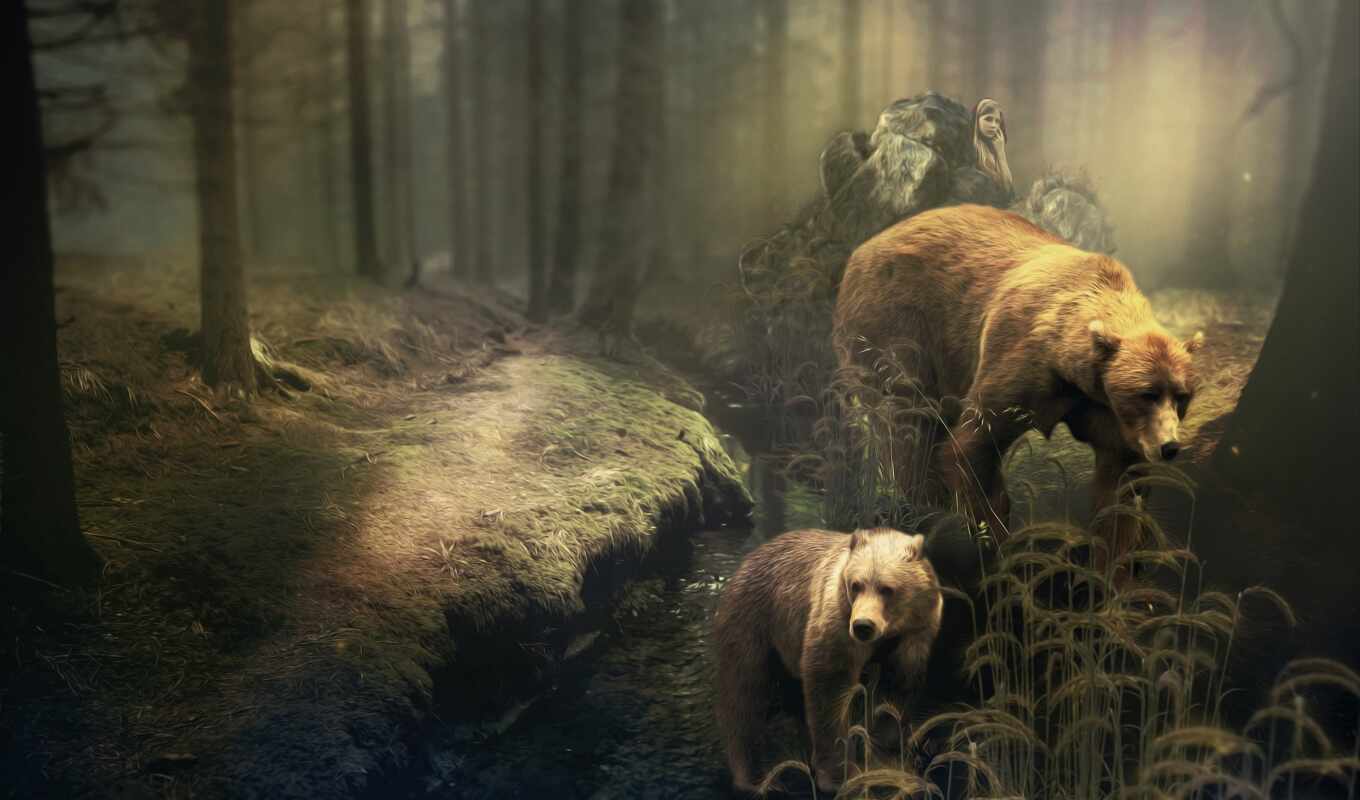 forest, bear, chaudron