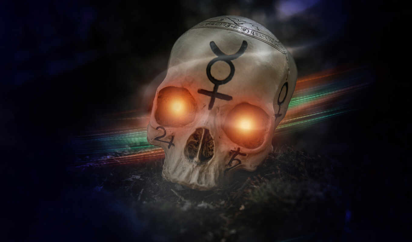 photo, background, skull