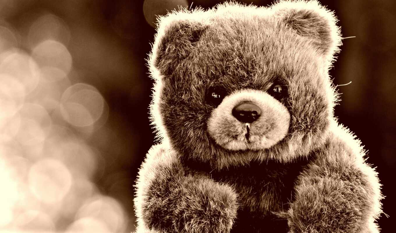 good, black, white, free, cute, bear, plush, toy, narrow, bear