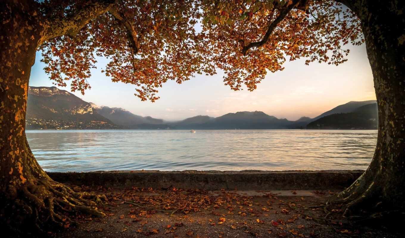 lake, nature, full, large format, website, beautiful, autumn