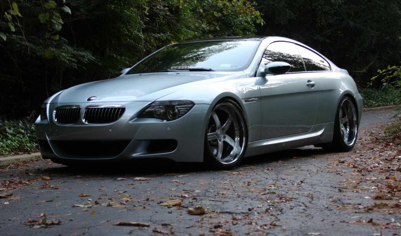 iphone, road, increase, bmw, wheels, silver, disk, trees, silver