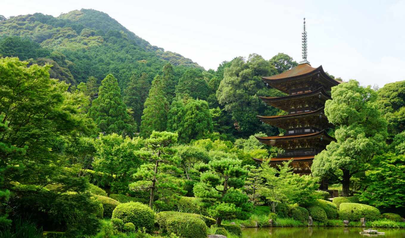 природа, дерево, japanese, пруд, башня, park, япония, kozan, pro, буддизм