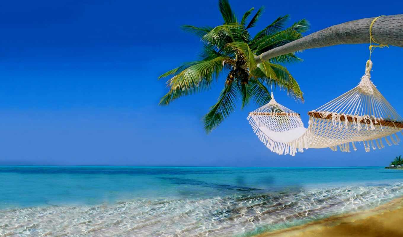 пляж, hotel, maldives, vacation, адрес, rook, убежище, dnee, velassar