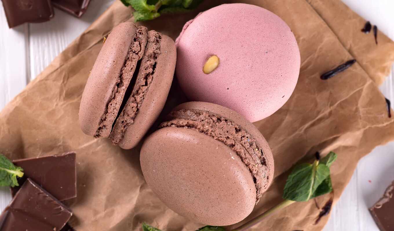 chocolate, with, picture, chocolate, macaron, grain, cacao