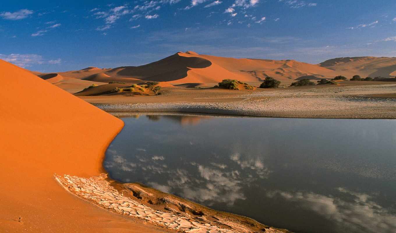 sand, desert, oasis