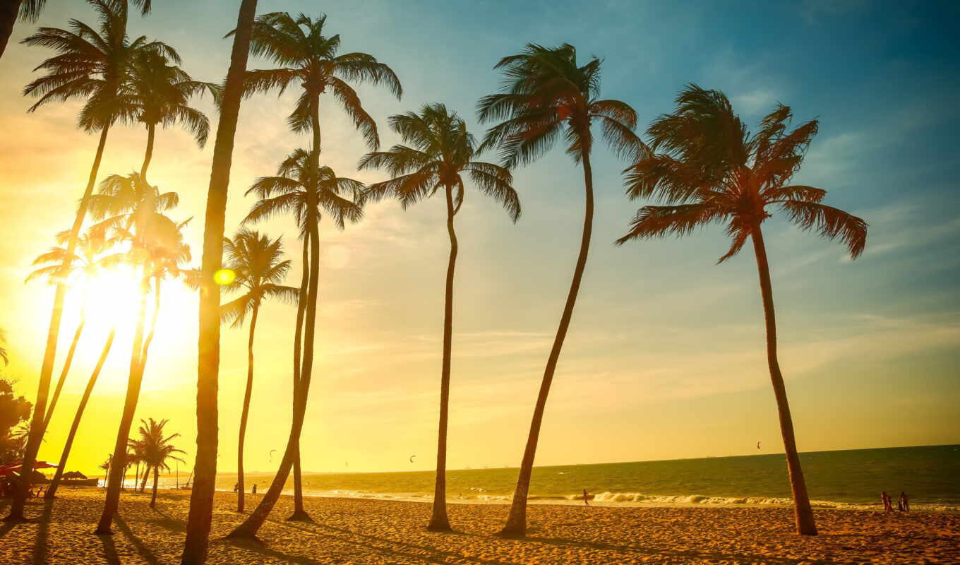 resolution, дерево, закат, пляж, море, palm, trees, tropical, dusk