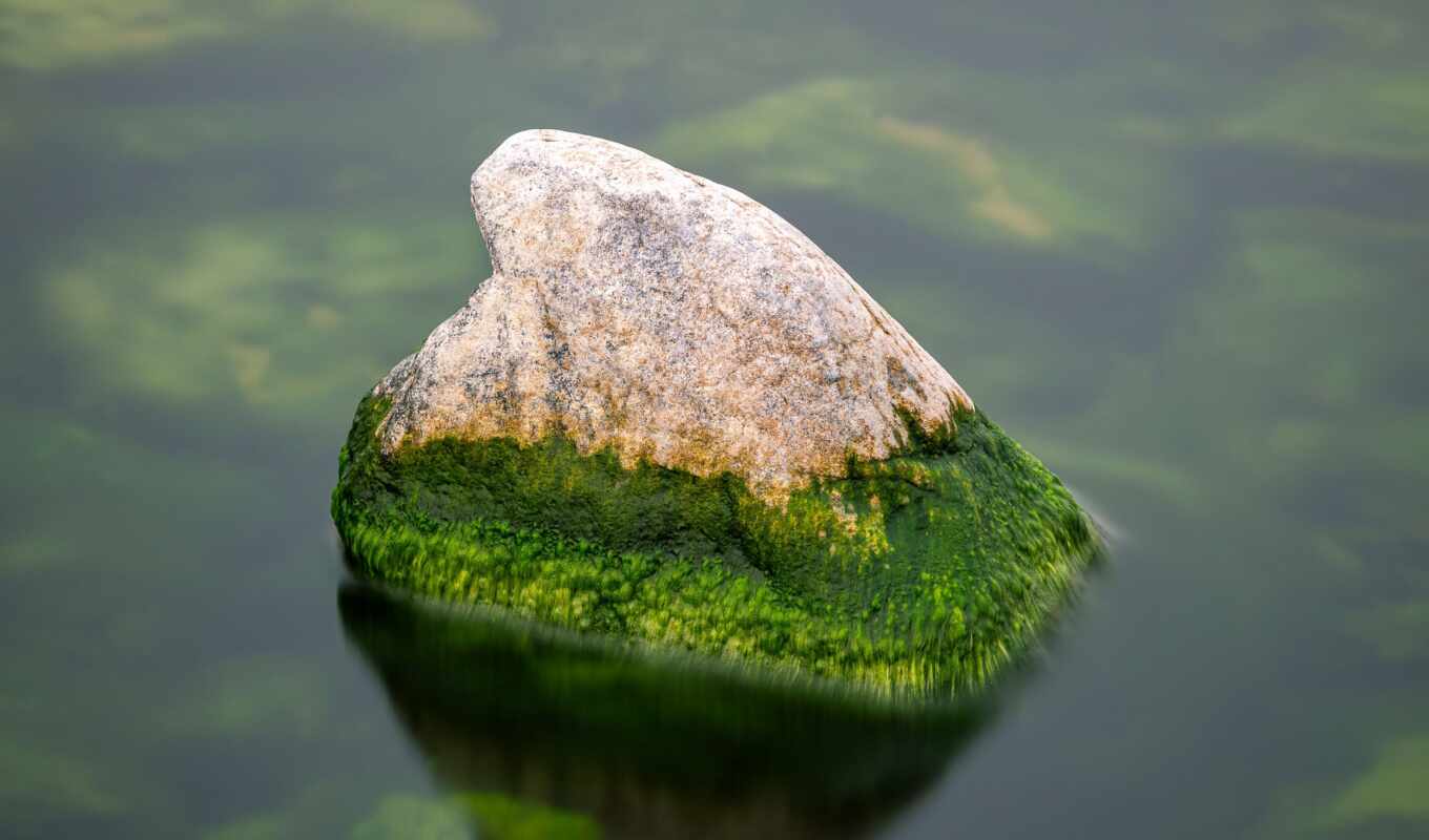 зелёный, камень, серый, трава, water, rock, камен, во, ораньжевый, мох