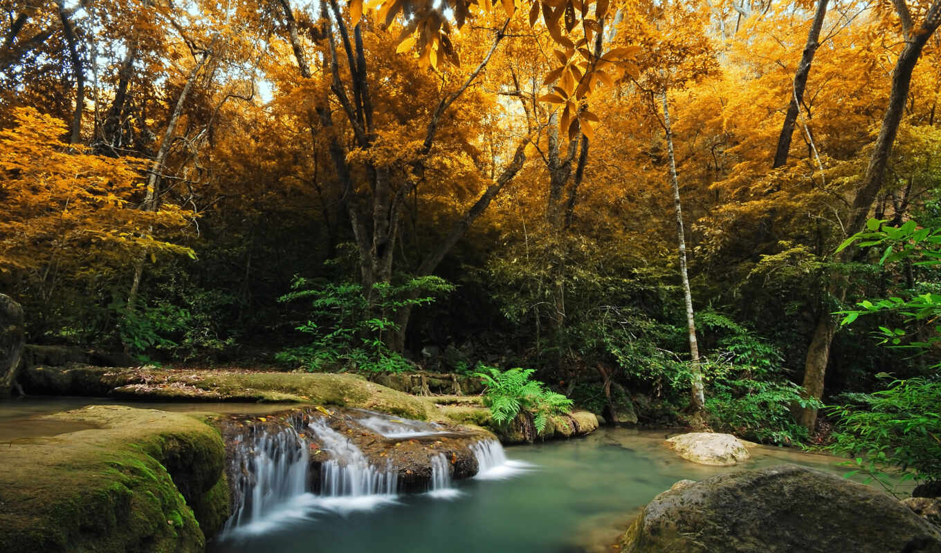 nature, picture, forest, super, autumn, river, waterfalls, trees, creek, the woods