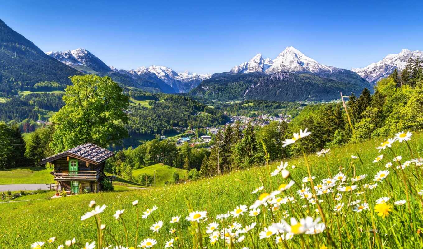 небо, дерево, зелёный, гора, цветок, растение, экорегион, швейцарские альпы