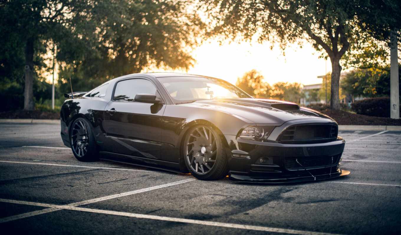 black, car, ford, mustang, wines, tune, shellby