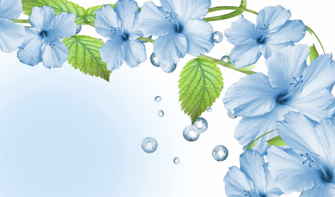 flowers, blue, mrwallpaper