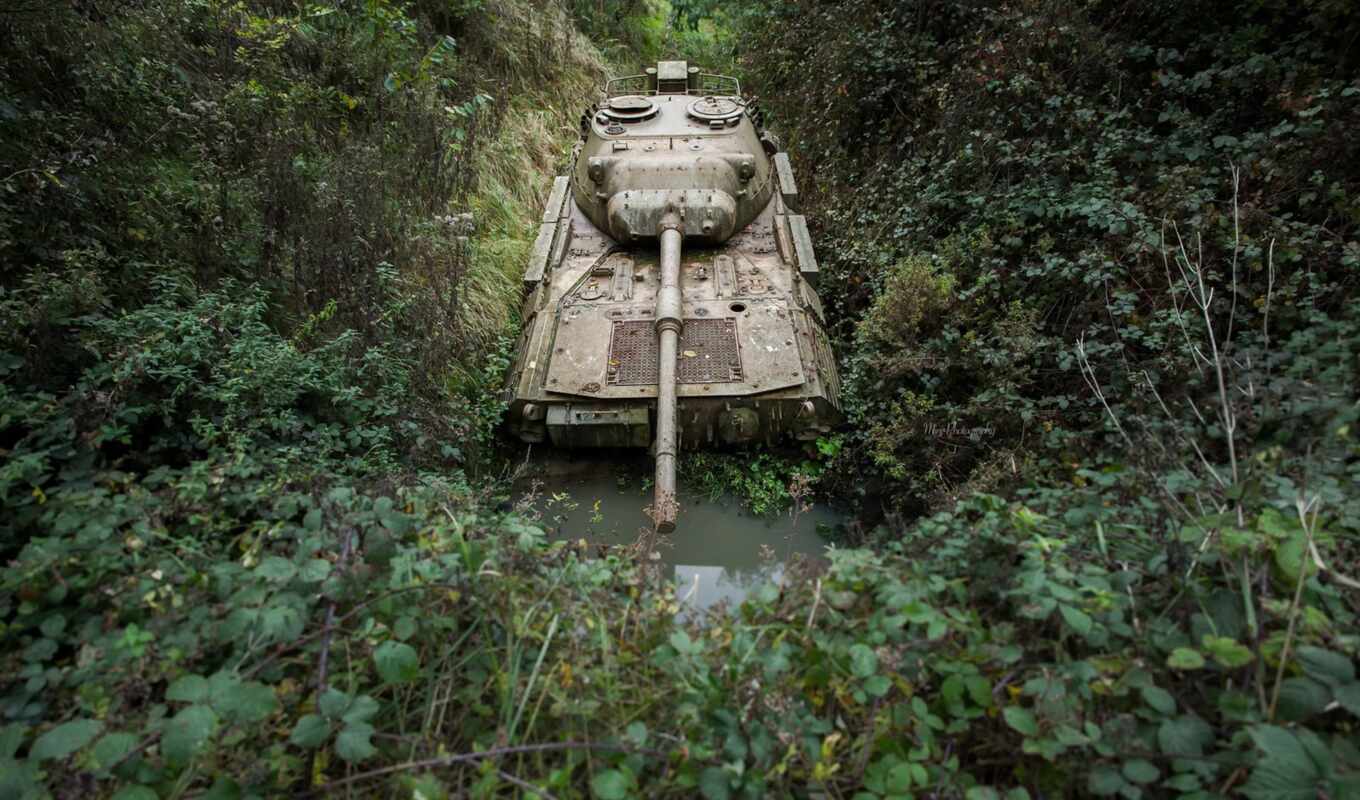 tree, forest, tank, jungle, tropical forest, natural environment, combat vehicle