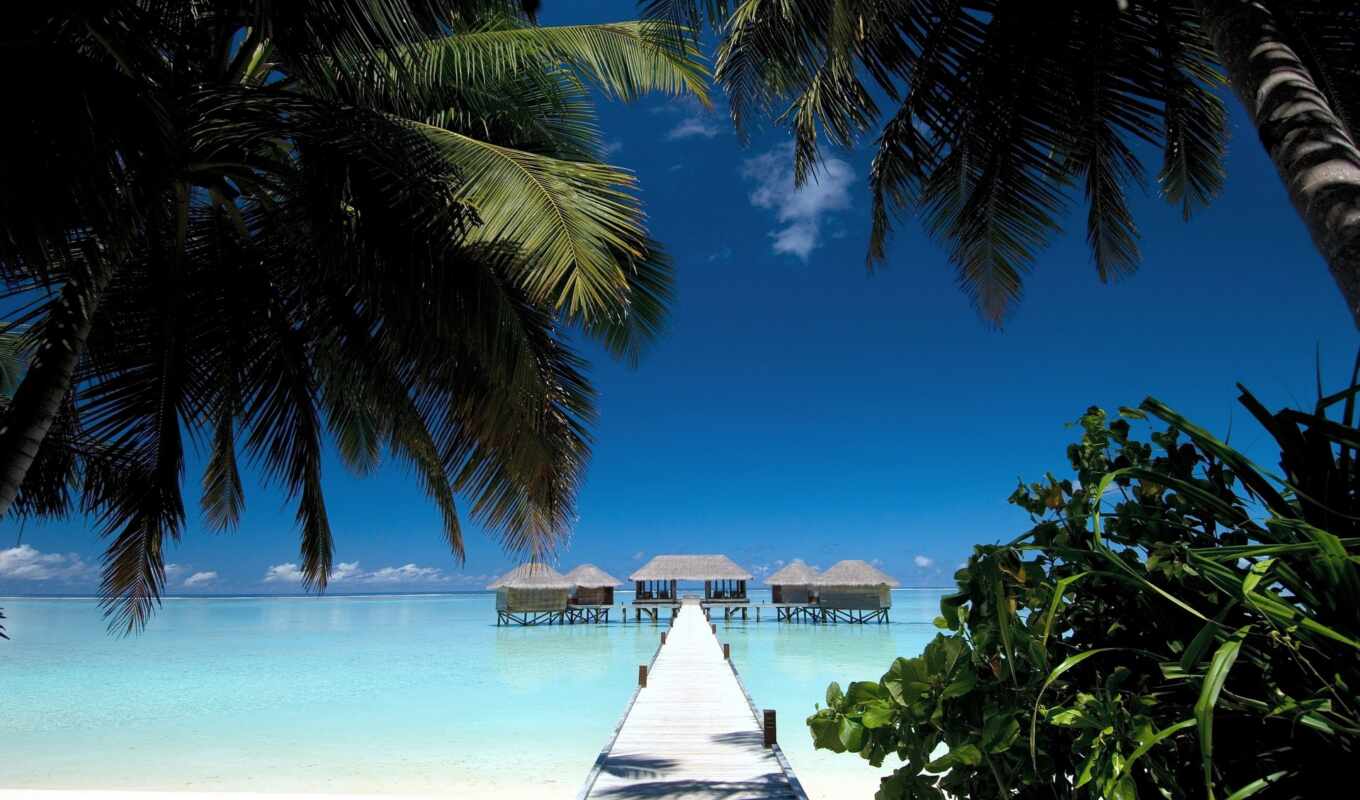 maldives, shirokoformatnyi