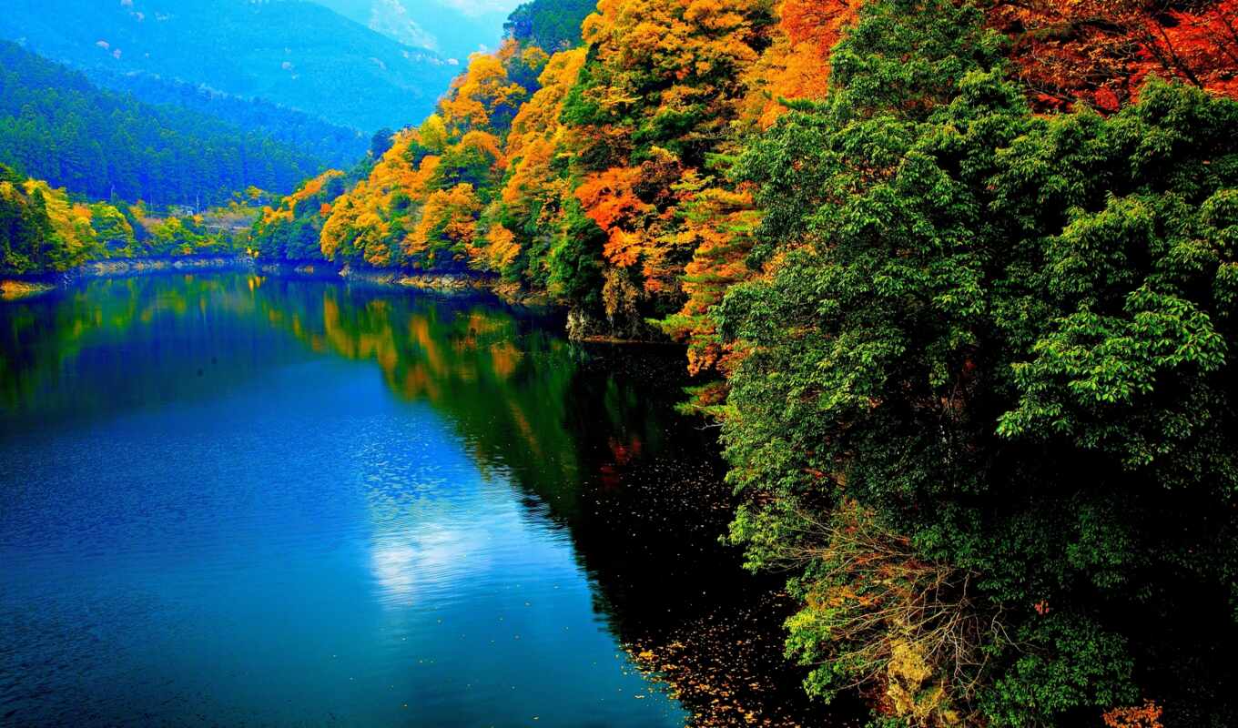 озеро, природа, дерево, камень, закат, лес, осень, natural