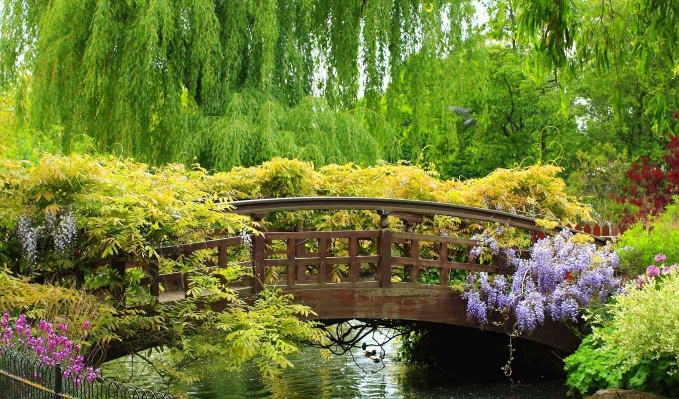 lake, flowers, Bridge, garden, spring, beautiful, park, river, trees, fence
