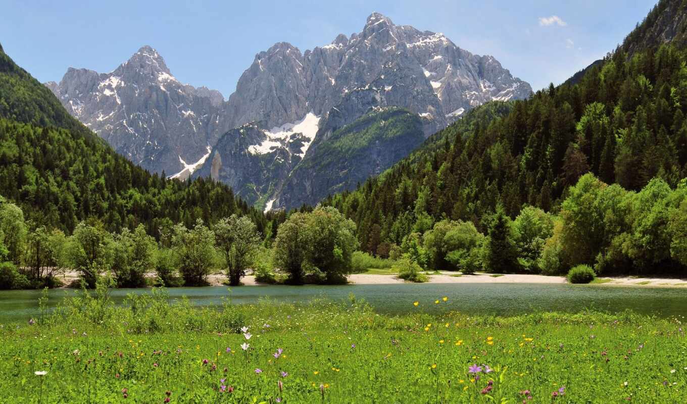 природа, цветы, гор, красивая, trees, подножья, штушка, разное, югославия