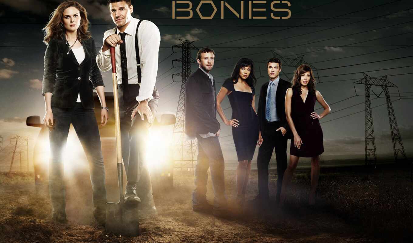 bones, agent, bones, shirt, the series, fbi, bennan, or, temperance