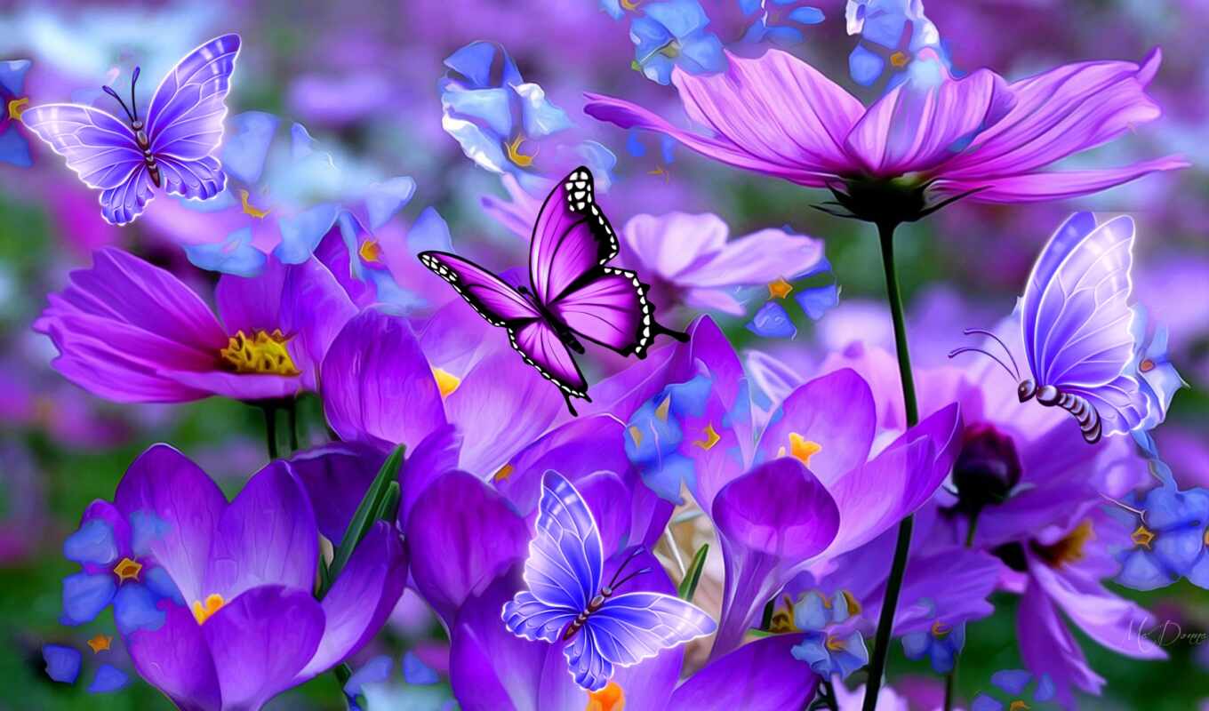 цветы, purple, бабочка, cosmo