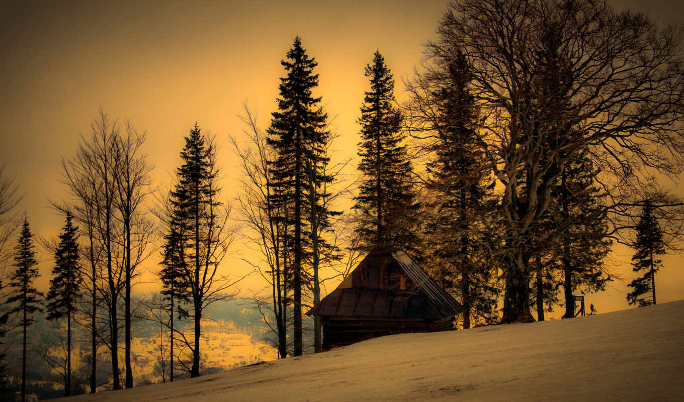 mountains, nature, trees, winter, evening, twilight