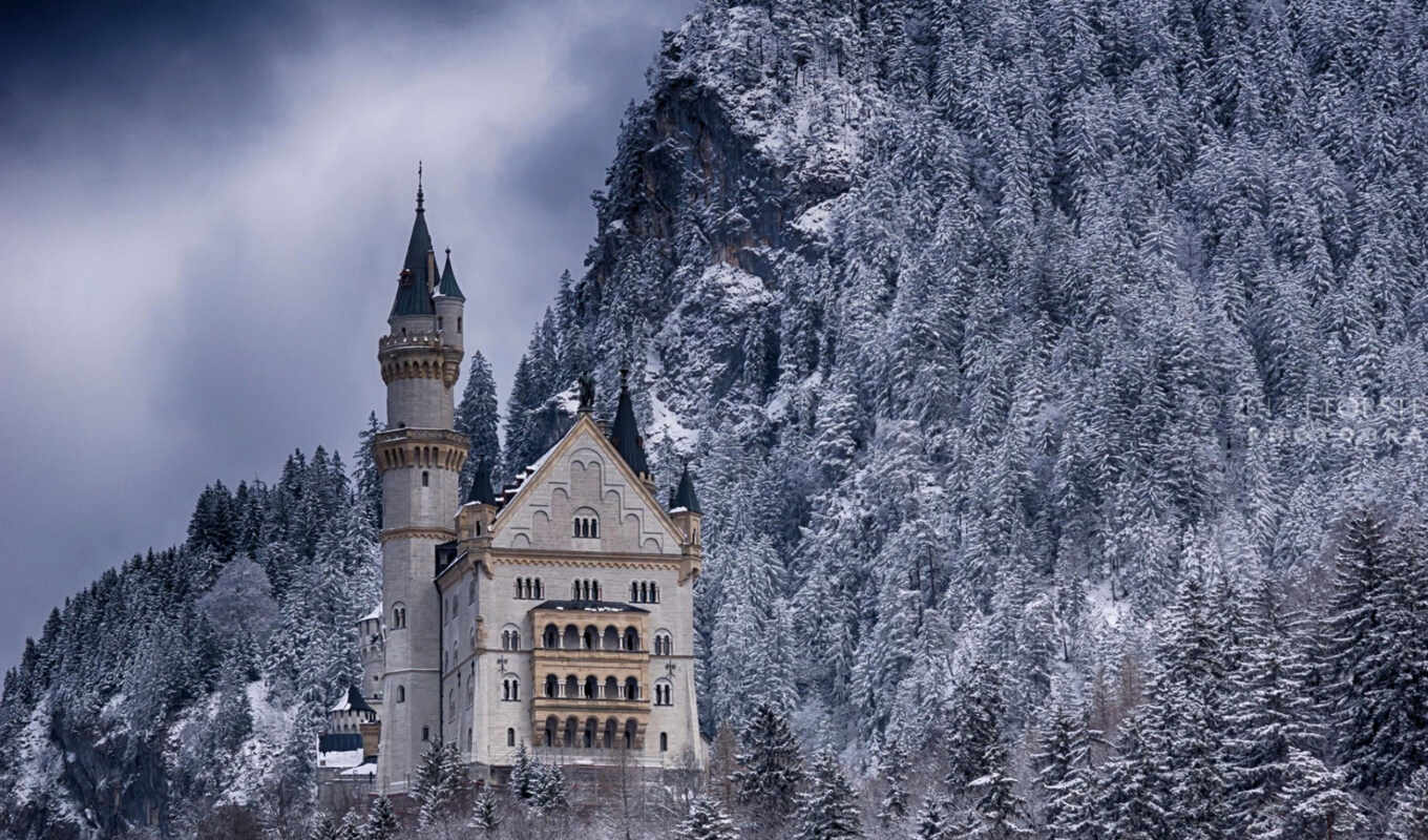 снег, winter, лес, германия, castle, trees, плакат, нойшванштайн