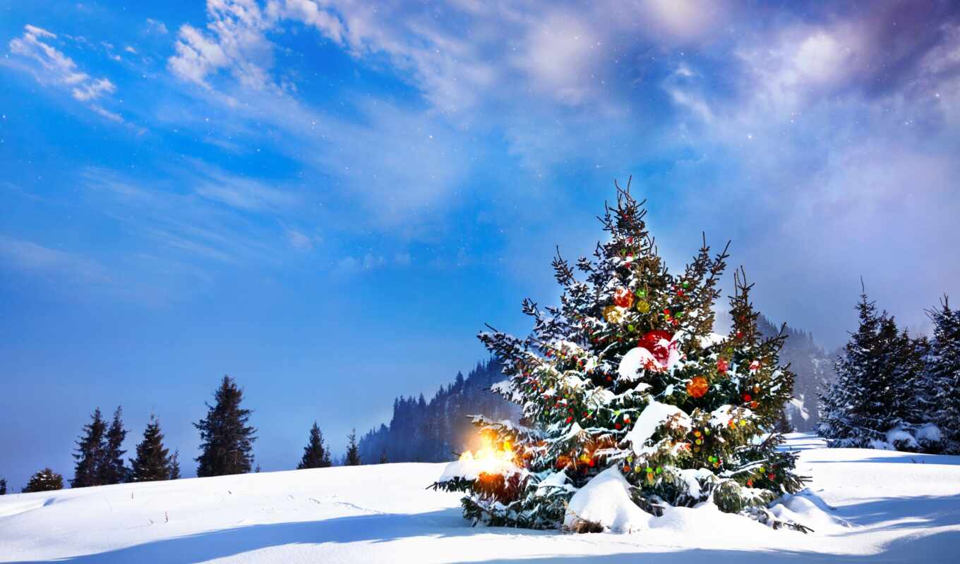 дерево, new, снег, год, новогодние, christmas, decorations, ideas, елка