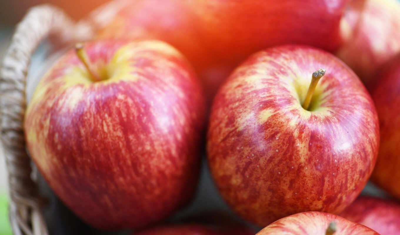 apple, fresh, плод