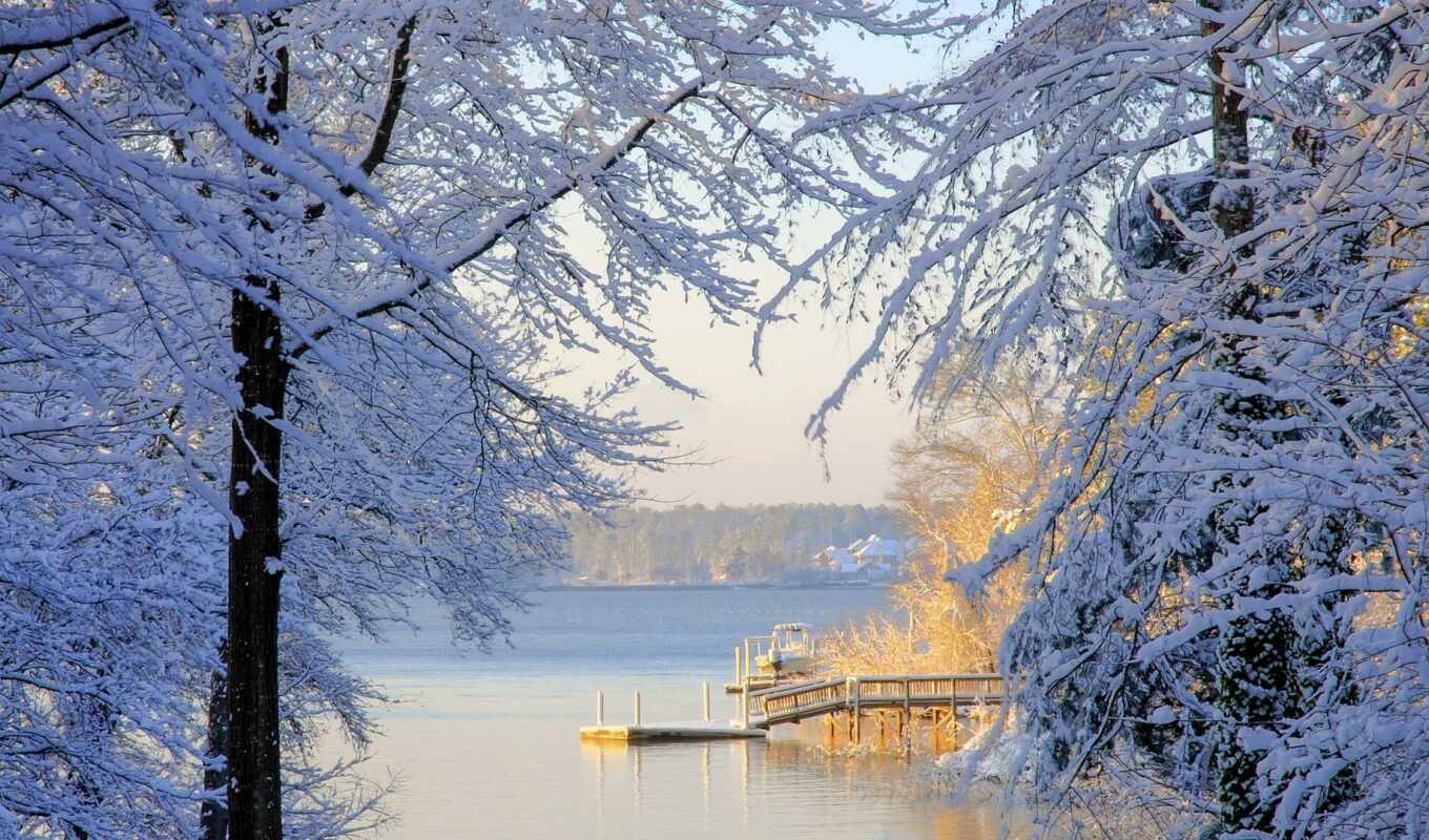 озеро, дерево, снег, winter, carolina, south