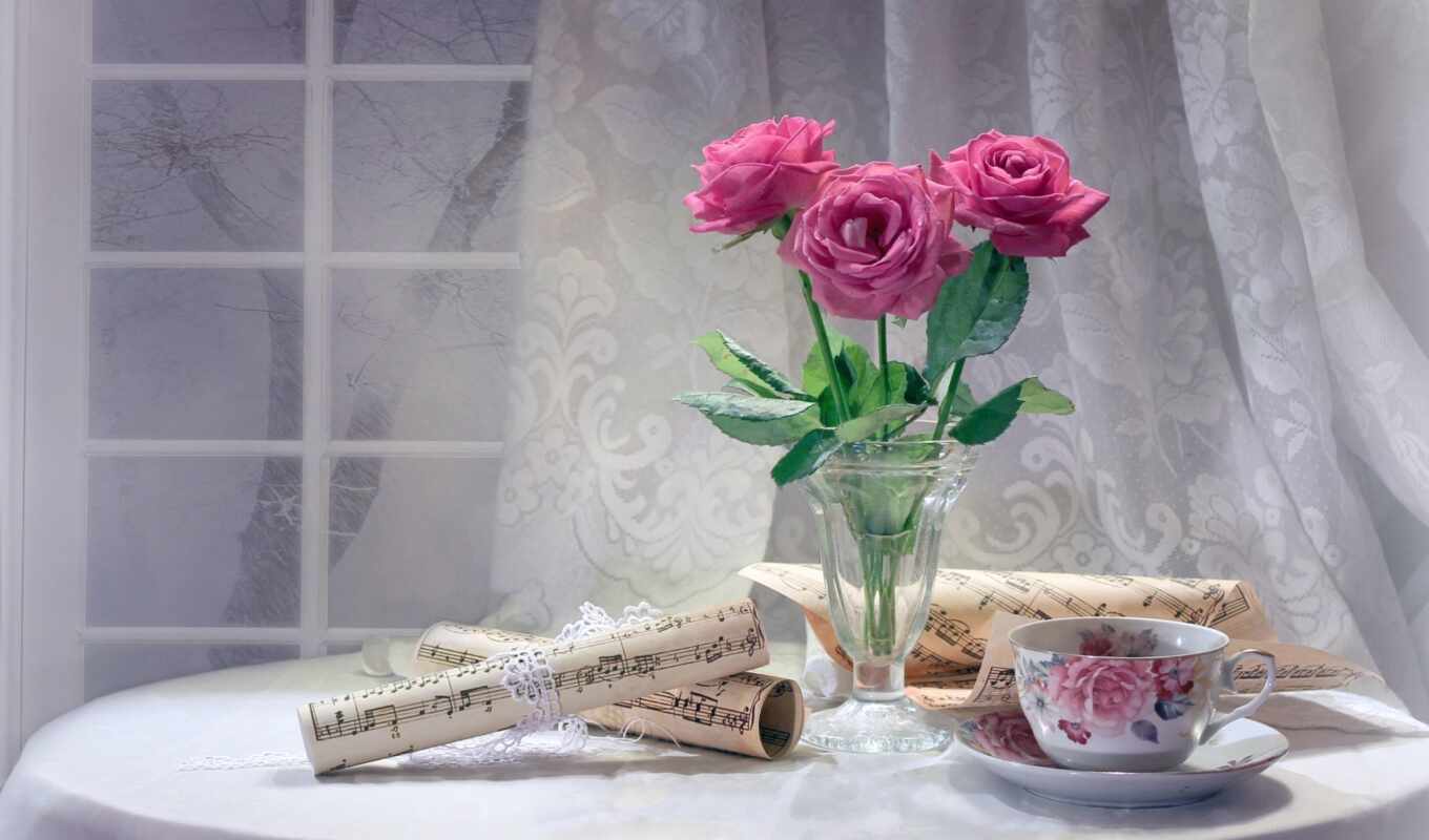 rose, window, cup, note, cvety, still-life