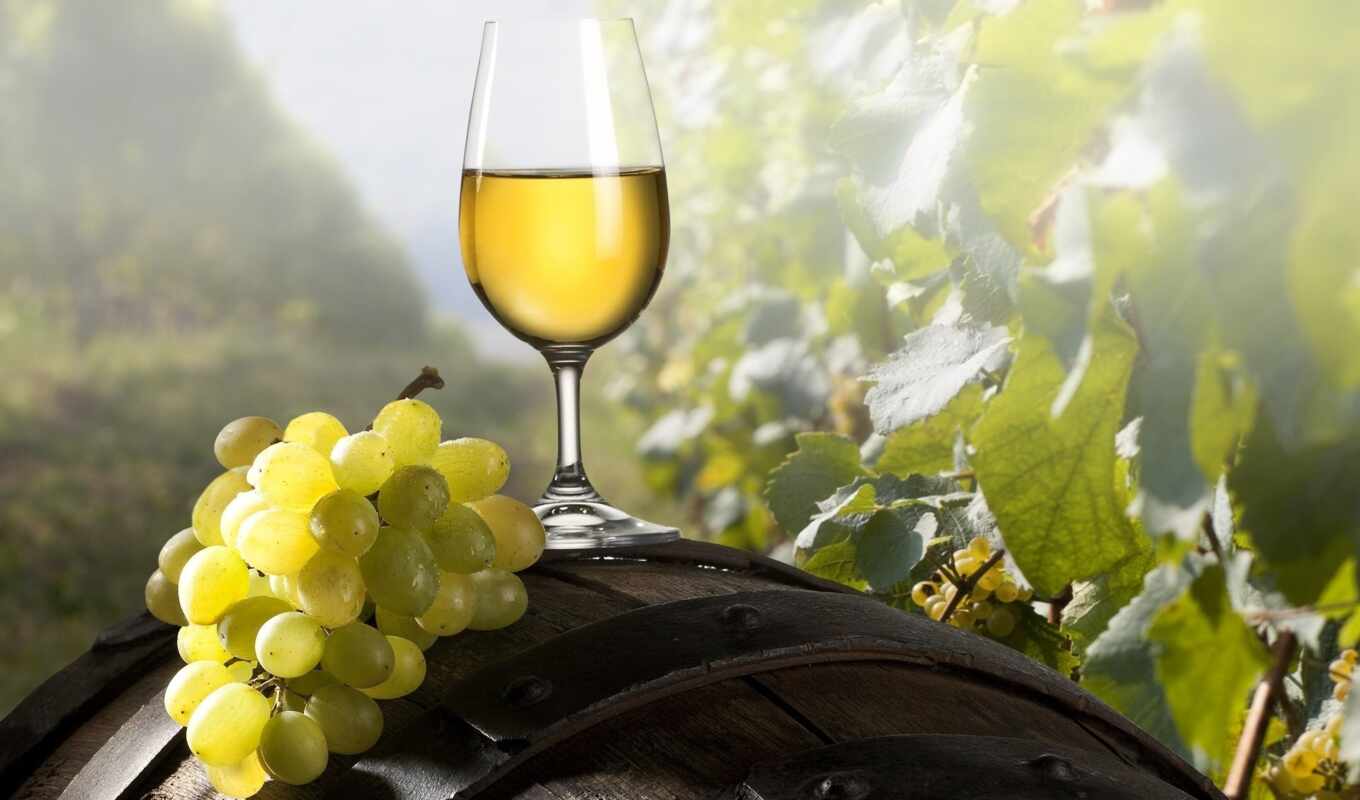 glass, вино, цена, виноград, вина, кисточка, доставка, meal, фотообои, бок, walldeco