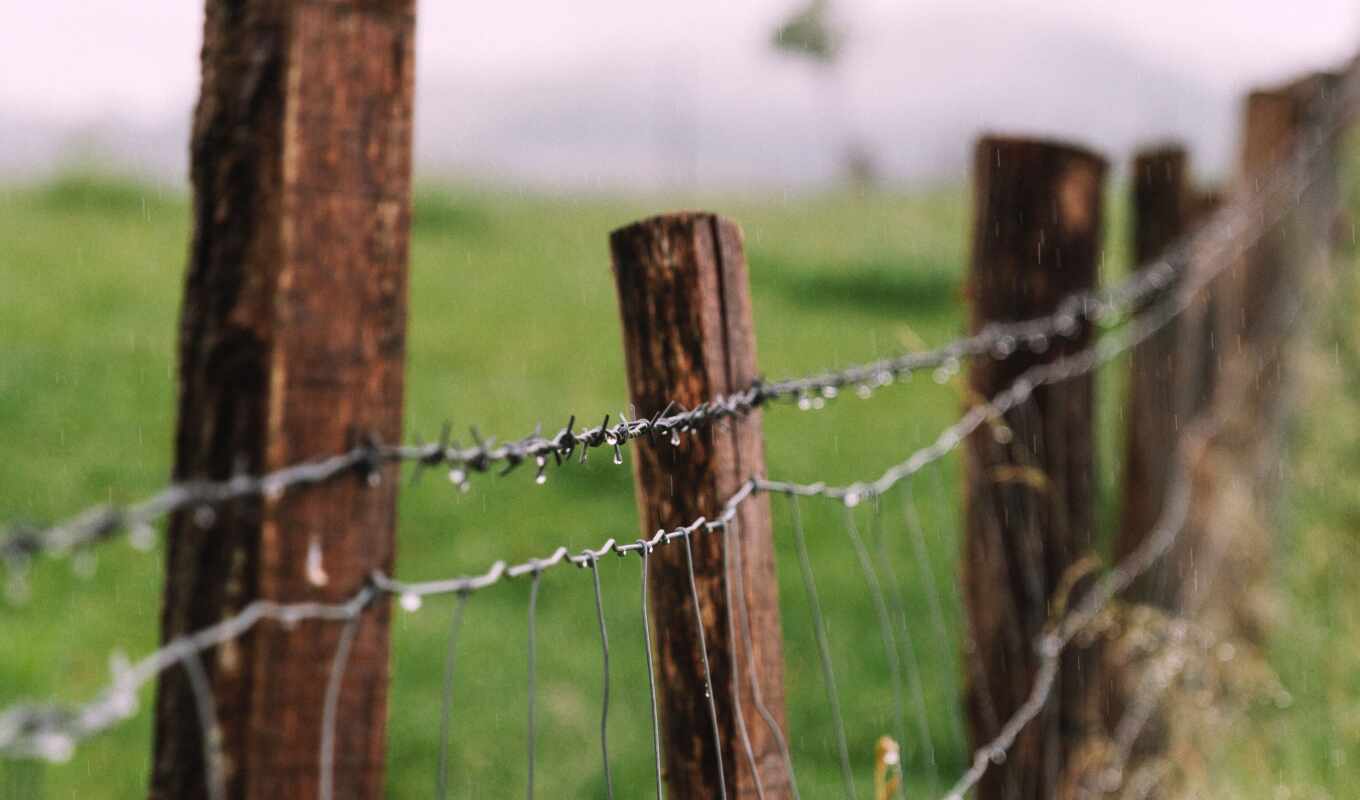 wire, fence, barbed, barb, provoloch