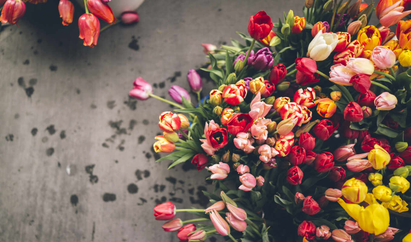 flowers, background, picture, to find, different, bouquet, tulip, thous