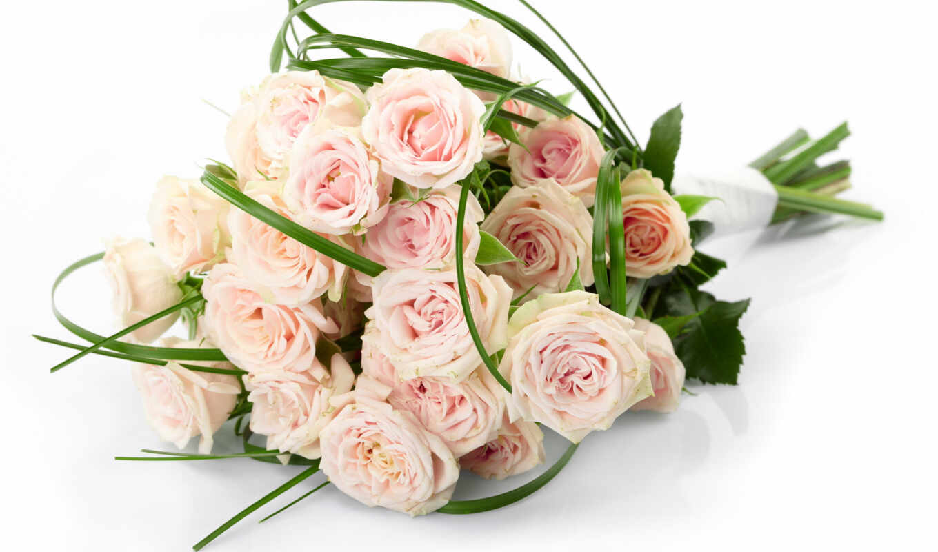 flowers, white, beautiful, roses, pink, white, bouquet, bouquets, cvety, roses, colors