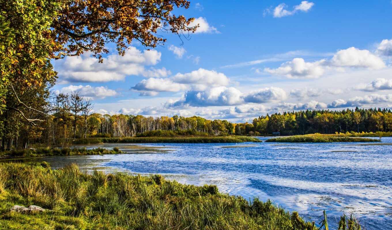sky, autumn, foliage, river, and, a, tinnerö, eklandskap